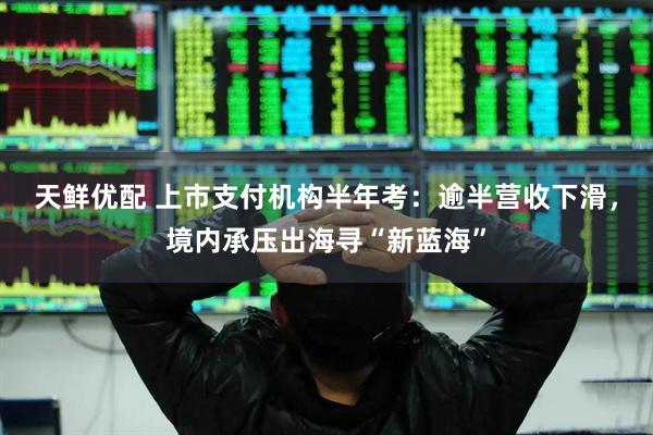 天鲜优配 上市支付机构半年考：逾半营收下滑，境内承压出海寻“新蓝海”