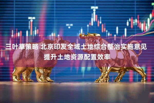 三叶草策略 北京印发全域土地综合整治实施意见 提升土地资源配置效率