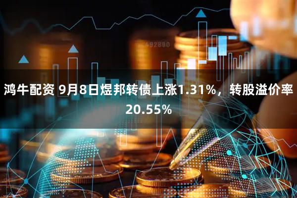鸿牛配资 9月8日煜邦转债上涨1.31%，转股溢价率20.55%